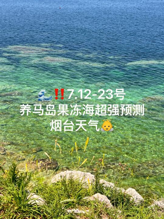 📍7.12-23号烟台养马岛果冻海超强预测