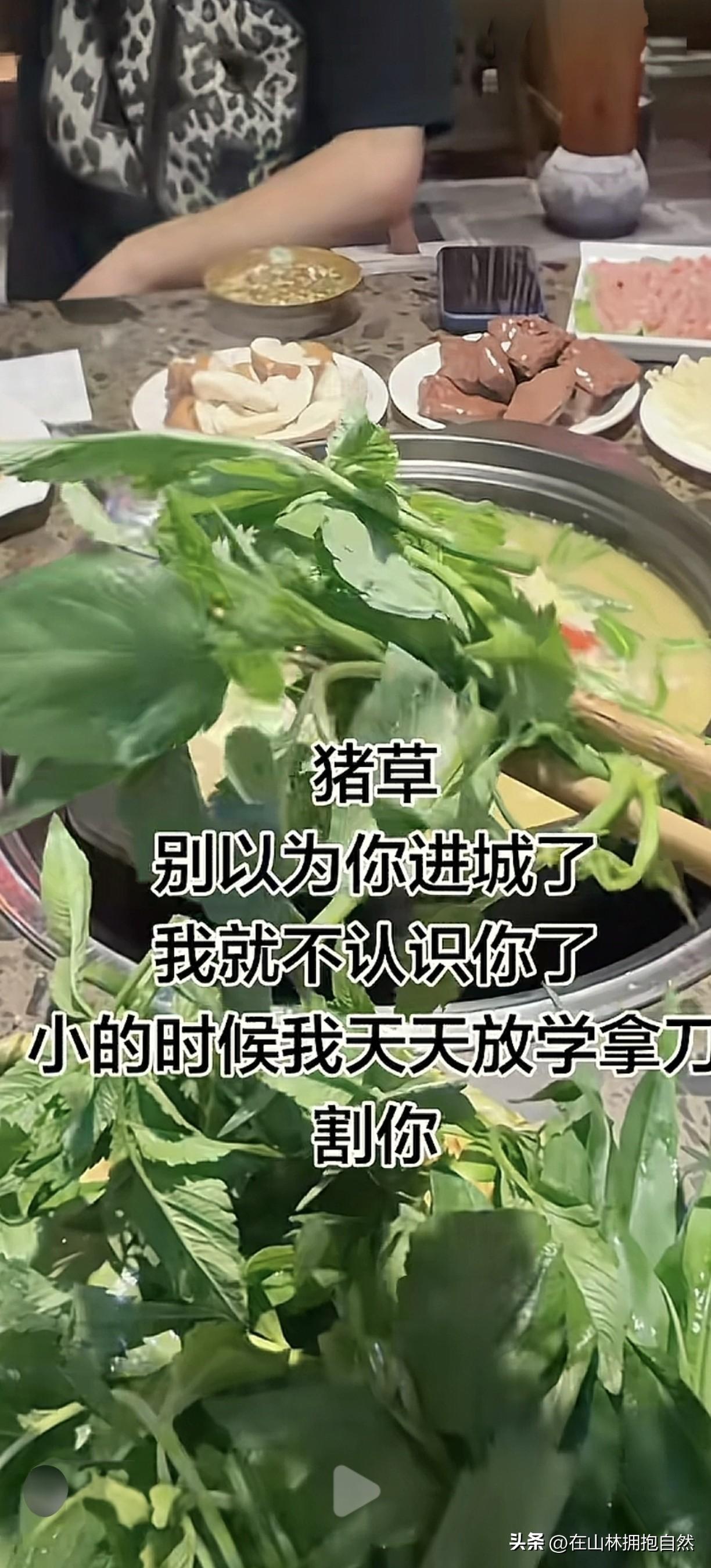 别以为你进城了
我就不认识你了
小的时候我天天放学拿刀割你
 
以前农村大多拿来