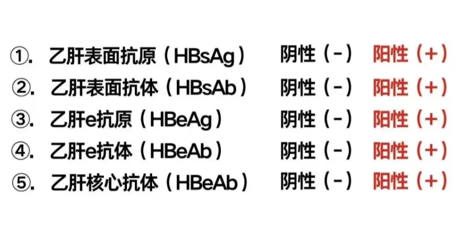 2分钟看明白乙肝五项！