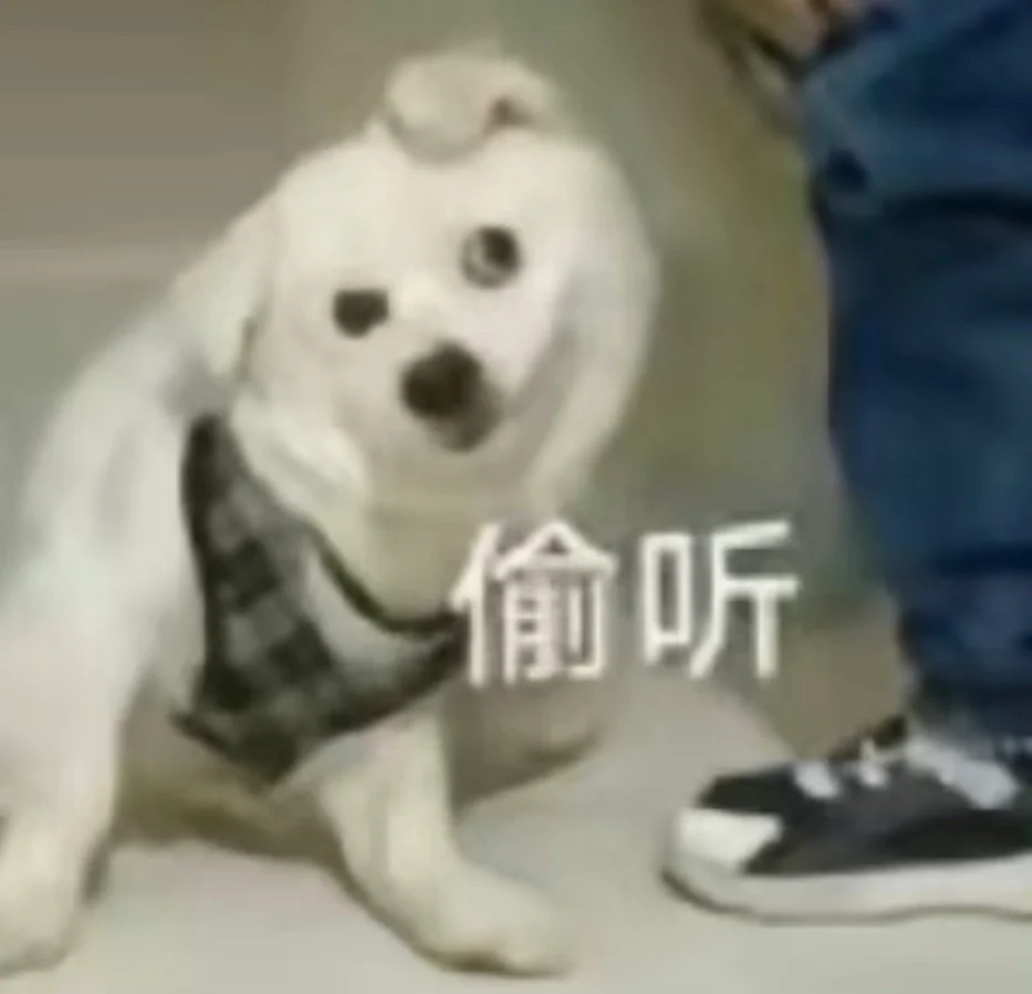 00后稳健型夫妻职业关系