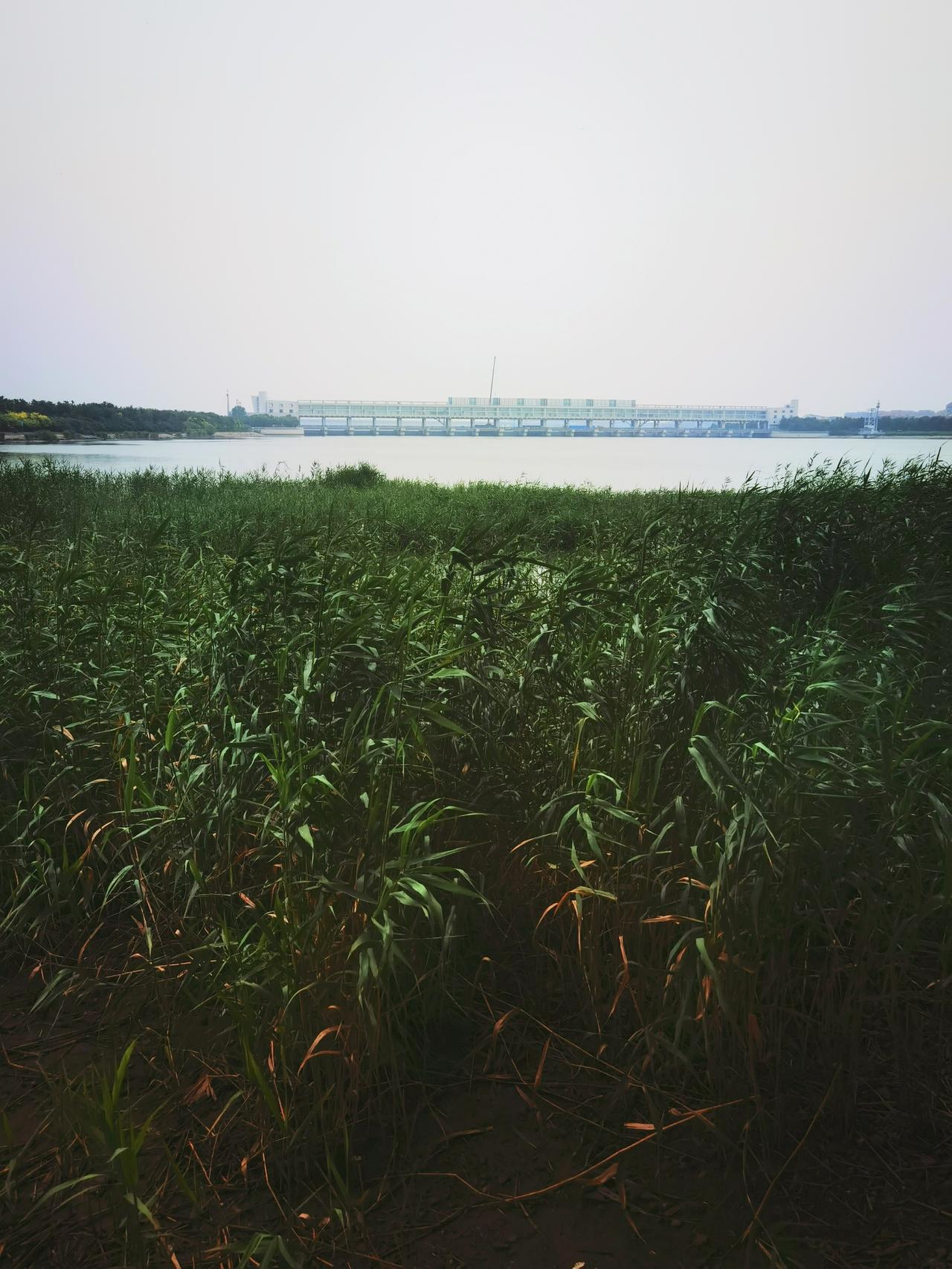 水多的地方果真凉快啊