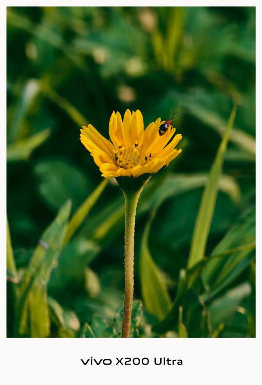手机也有专属胶片感 📷 