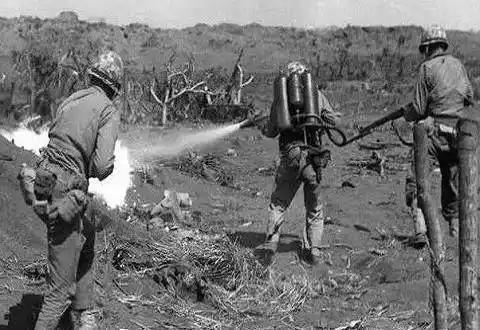 1945年，硫磺岛战役中，一名日本士兵躲藏在岩洞里不断地向美军打冷枪，美军只闻其