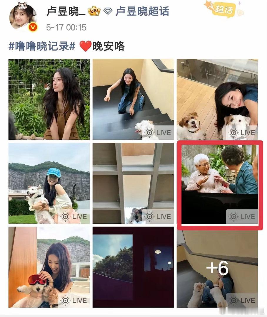 给阿嬷的情书 屏摄卢昱晓因为屏摄《给阿嬷的情书》被批评了！她随手发的live图想