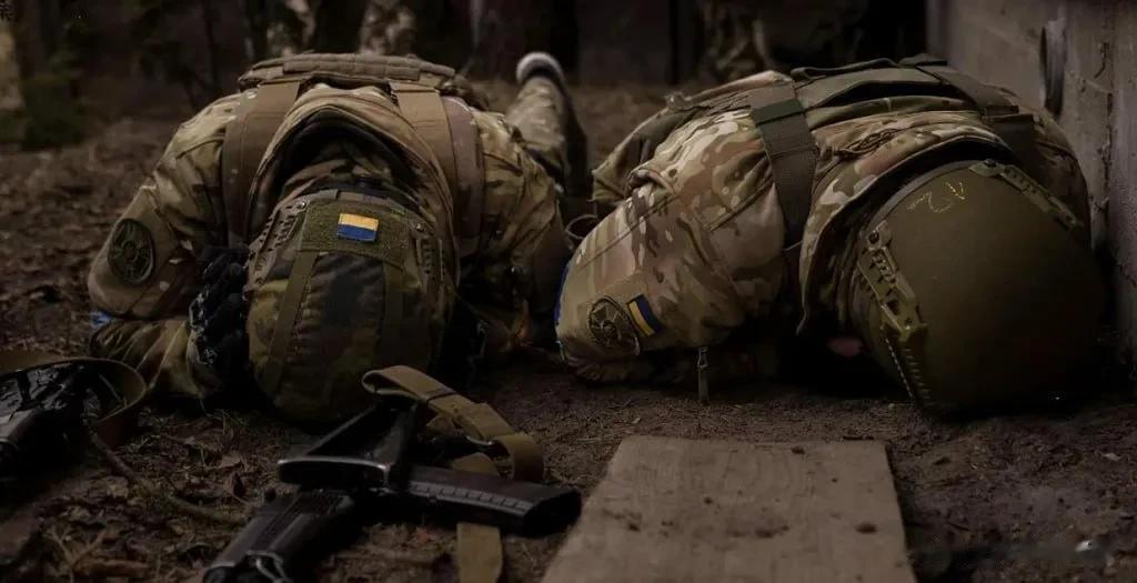 俄乌战争最新消息:乌克兰士兵的尸体散落在战场上，却无人清理收走。

扎波罗热社会