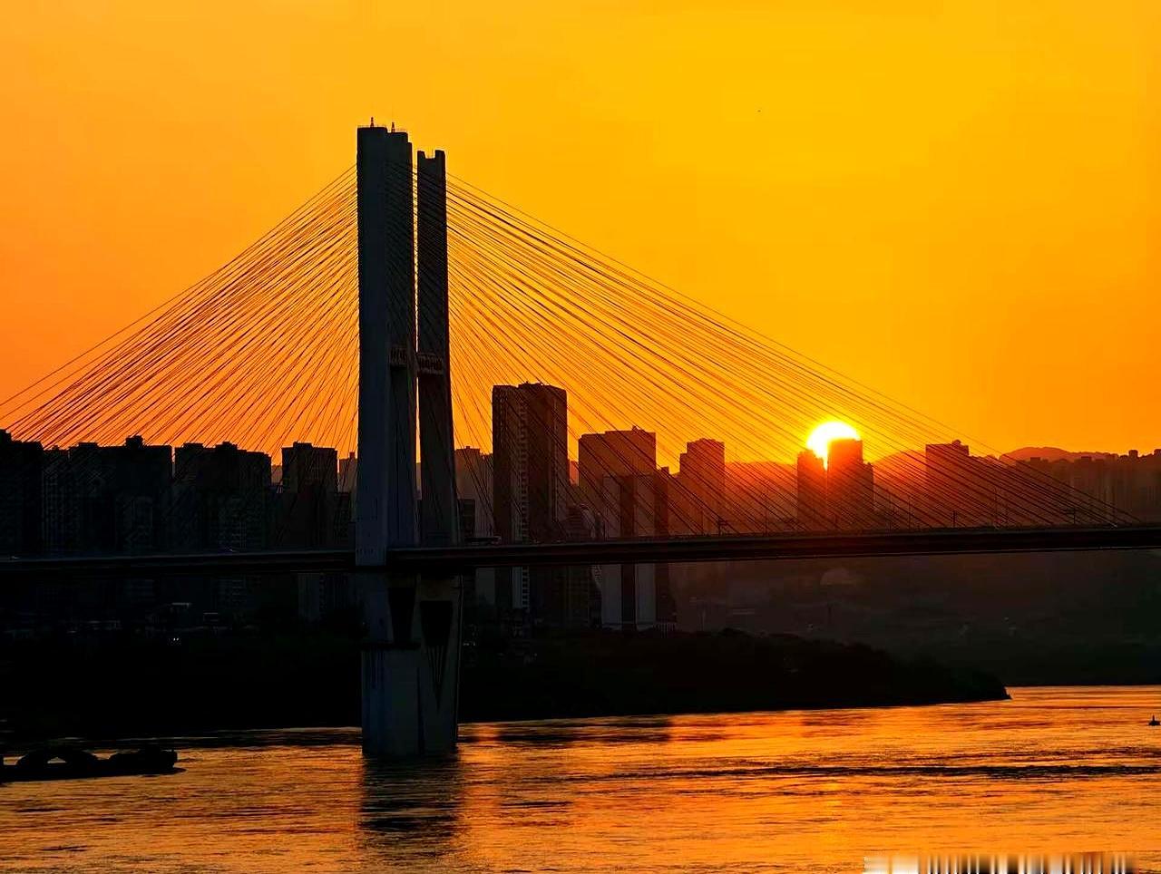 预报主城35℃？
我在江边却被江风吹得只想多待会儿。

8月31日18:00-1