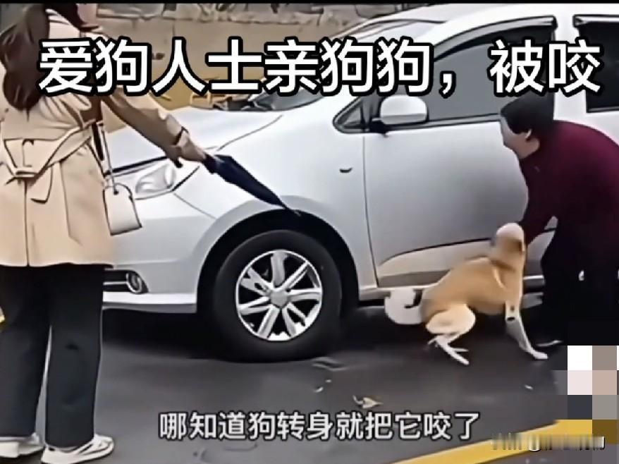 狗肉之争，需要规则而不是站队
       “要不要立法全国禁食狗肉？”每隔一段