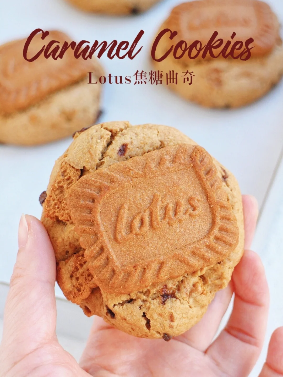 好吃到炸‼️Lotus海盐焦糖曲奇饼干