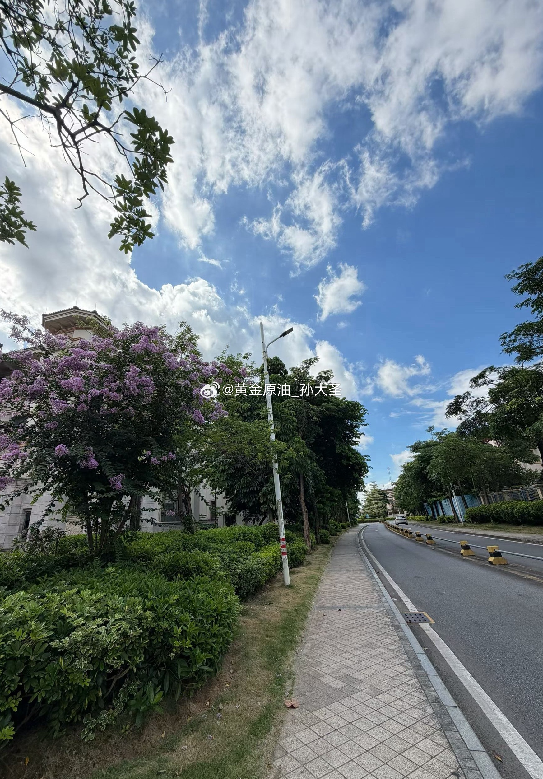 用过早餐过后，陪着夫人在家附近慢慢走了两圈。天高云淡，清风拂面，满心舒坦。平日里