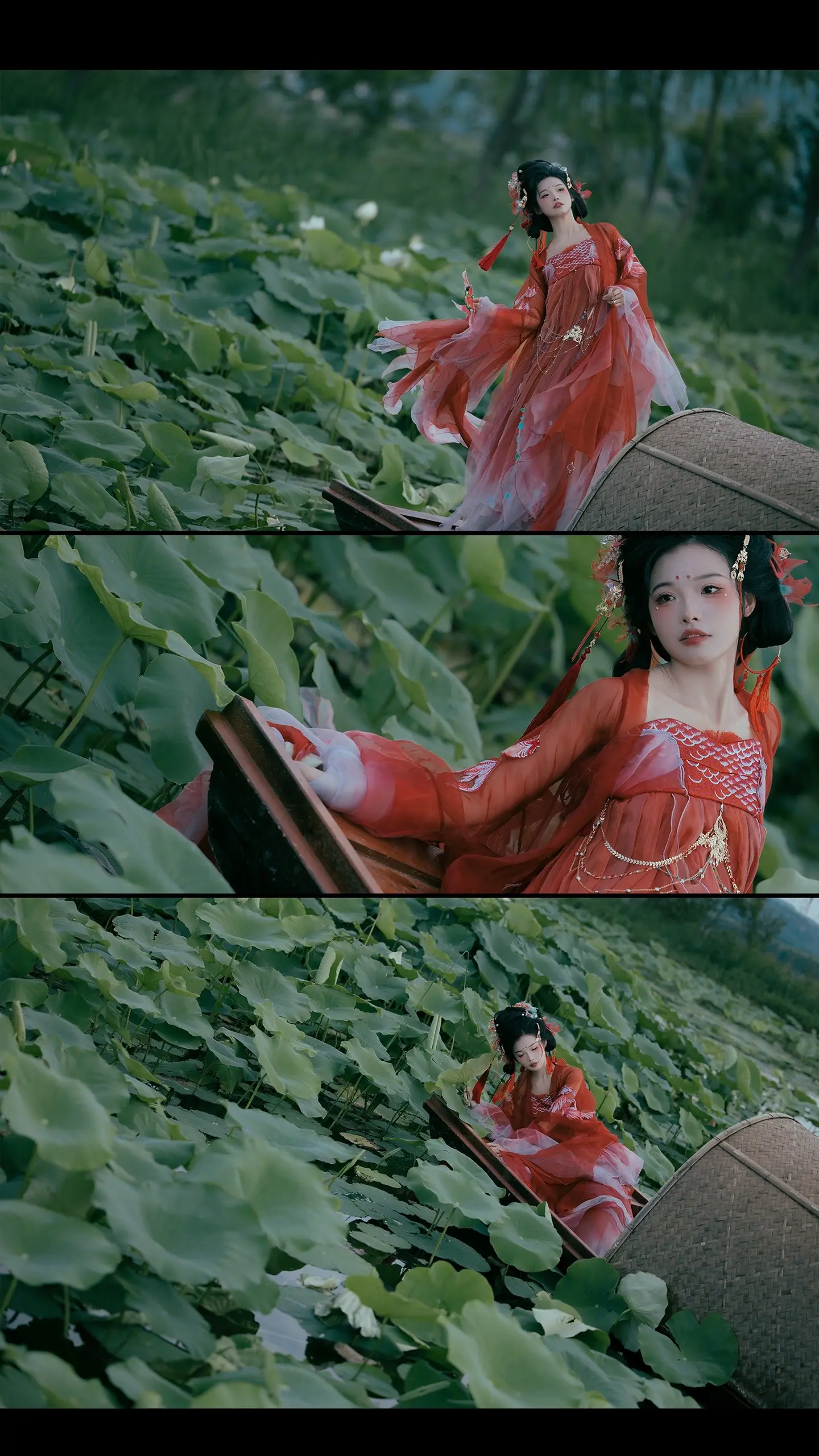 锦鲤我啊，又又又又上岸了。