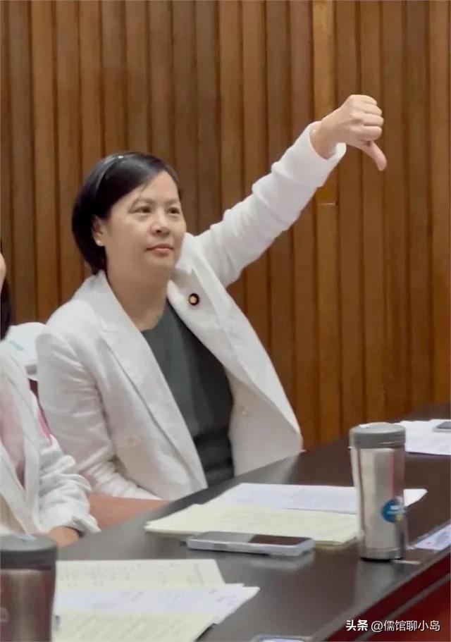 陆配民代李贞秀遭绿营围攻 绿营呛“中国人X出去” 李贞秀比倒赞反击！

台湾民众