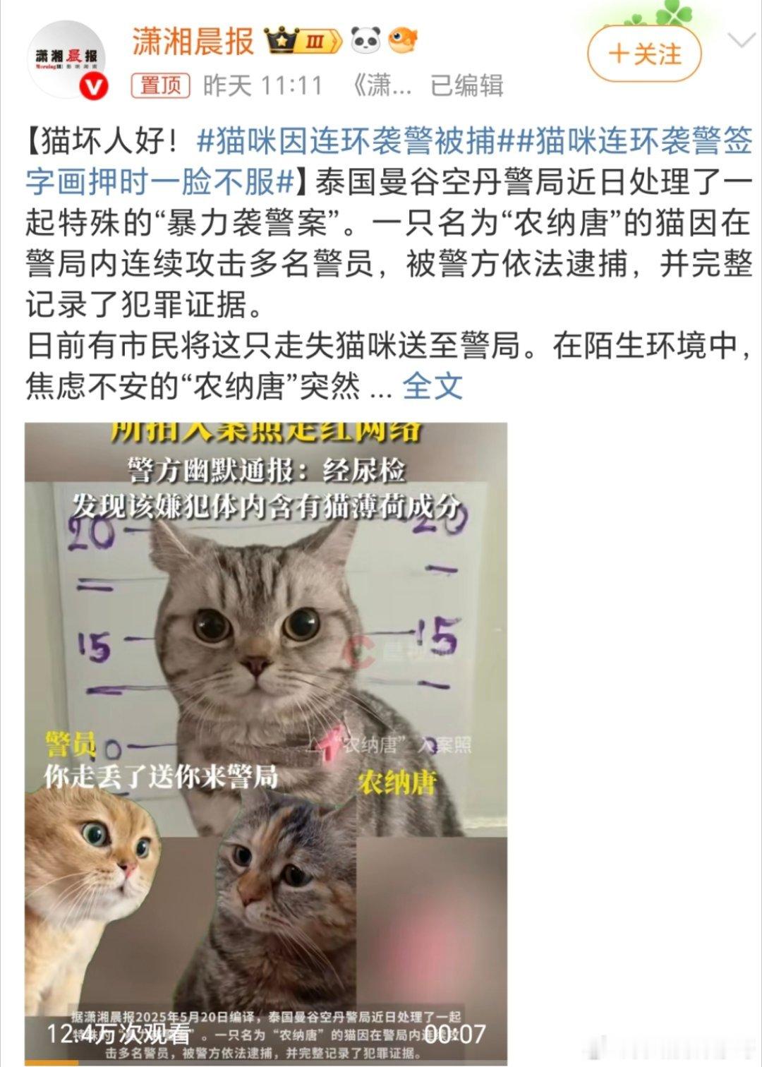 泰国警方幽默通报猫咪袭警喵星人干啥了？这不是萨瓦迪卡就解决的！还真的是无厘头[允
