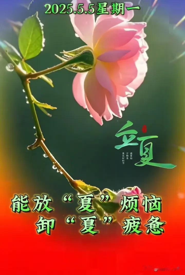 以万物之名，赴一场盛夏的初吻

——二十四节气之立夏，万物生长的诗与烟火

【风