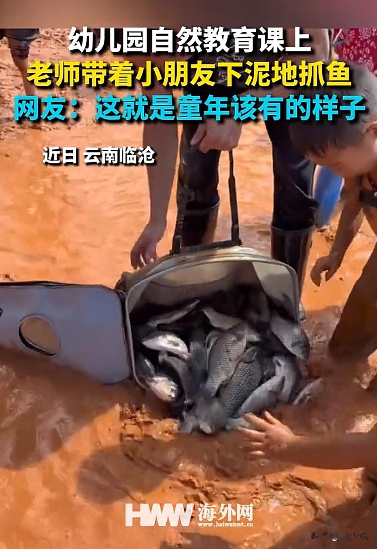 #幼儿园老师带小朋友下泥地抓鱼#“真是羡慕啊！”云南临沧一幼儿园上自然教育课，老