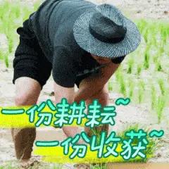路在脚下，荣光在前头，汗水换来的一定是幸福？