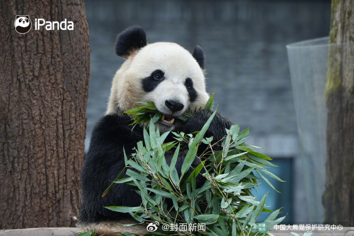 #小封日历# 早安，周二啦！今天叫醒你的是_____？[哈哈] ​​​（） ​​