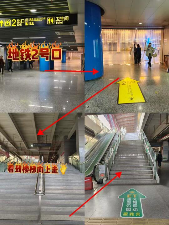 运动就来飞翎打场球