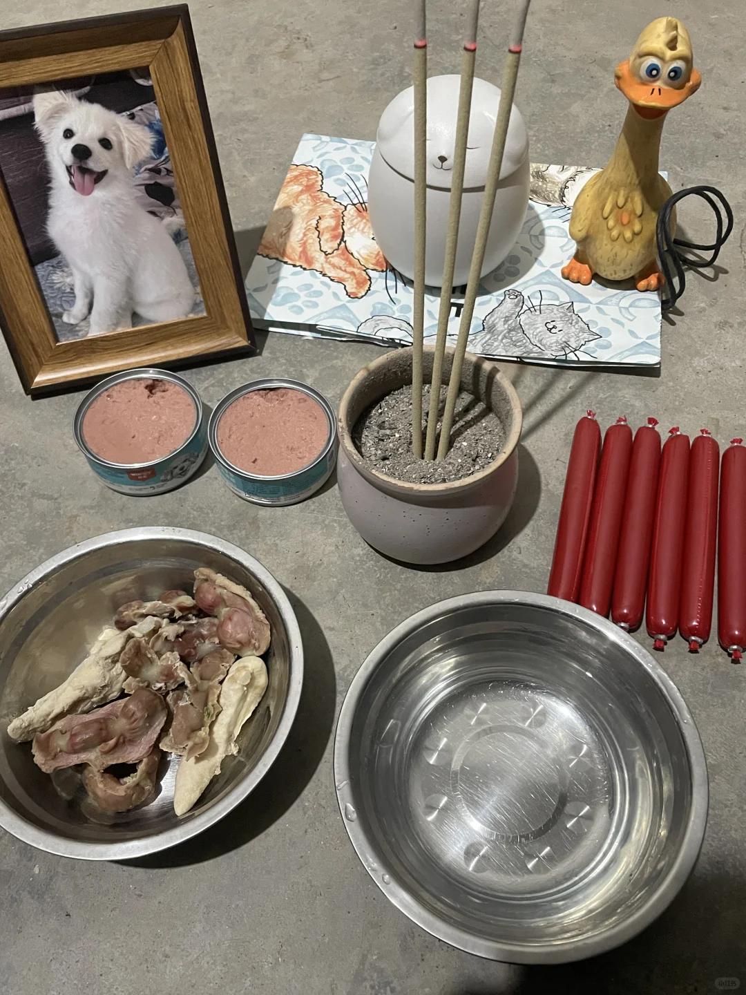 念念不忘 没有回响……
