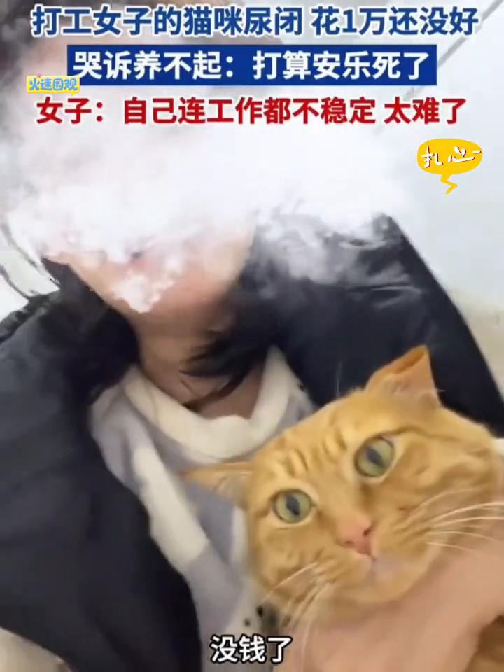 都没显示了，你要比一次世界多几个月又都没结局。