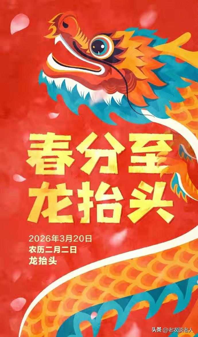 今天是2月初二龙抬头，又是春分节气。今天小雨，天气比较寒冷，春风料峭，老人需要加