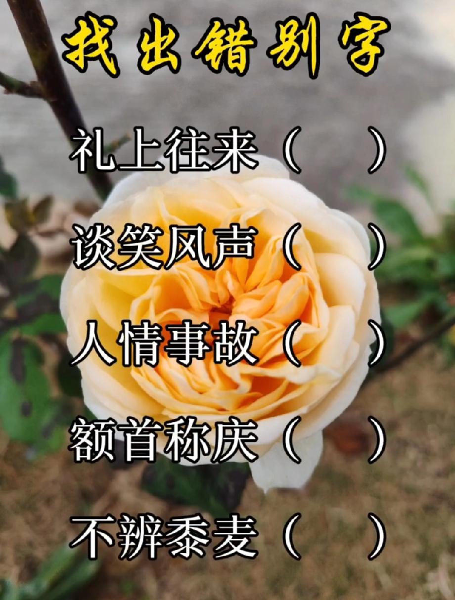 自测语文水平！5个易错成语找错字，评论区说说你找出几个？