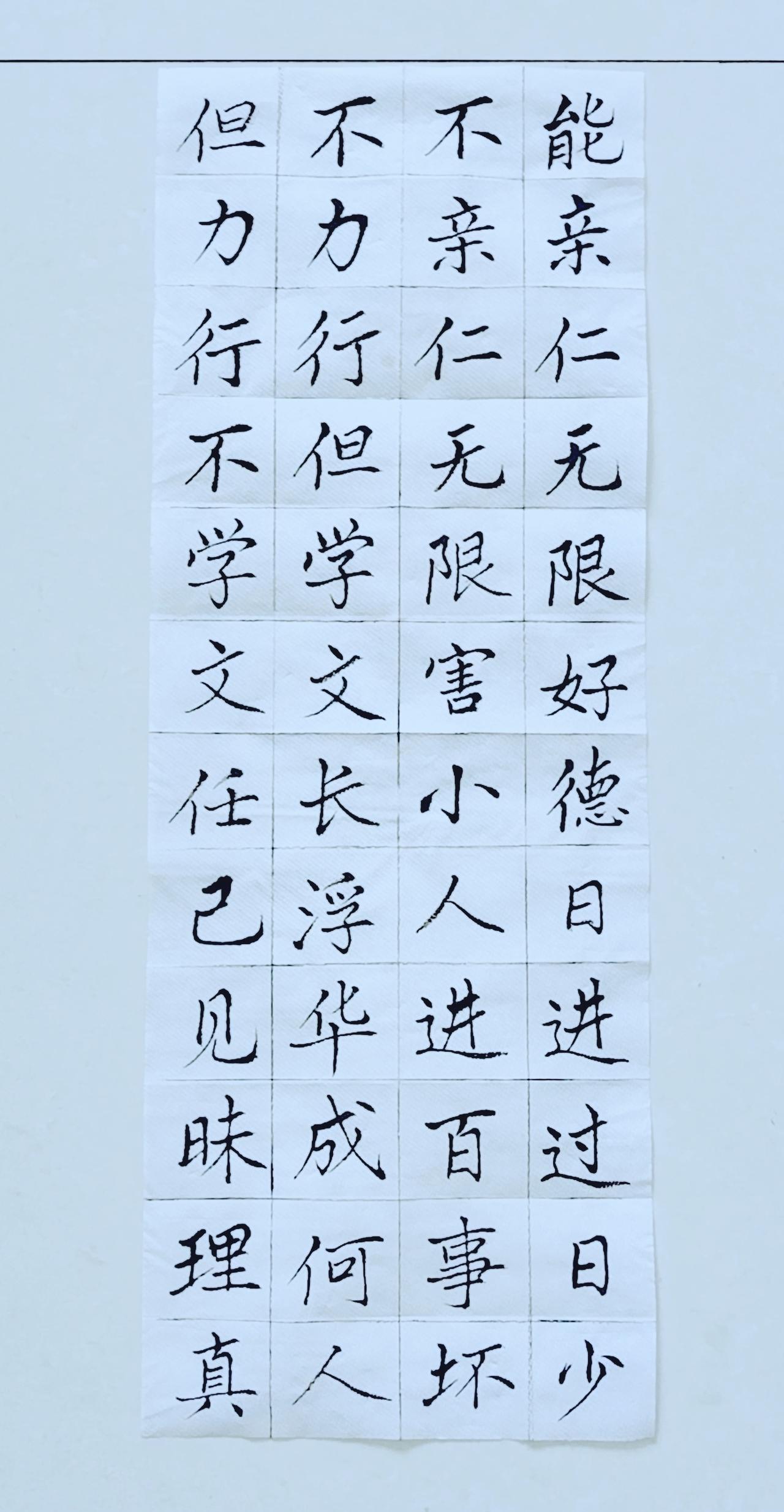 第四十三天《弟子规》（20）楷书练习！毛笔楷书练字 楷书初练