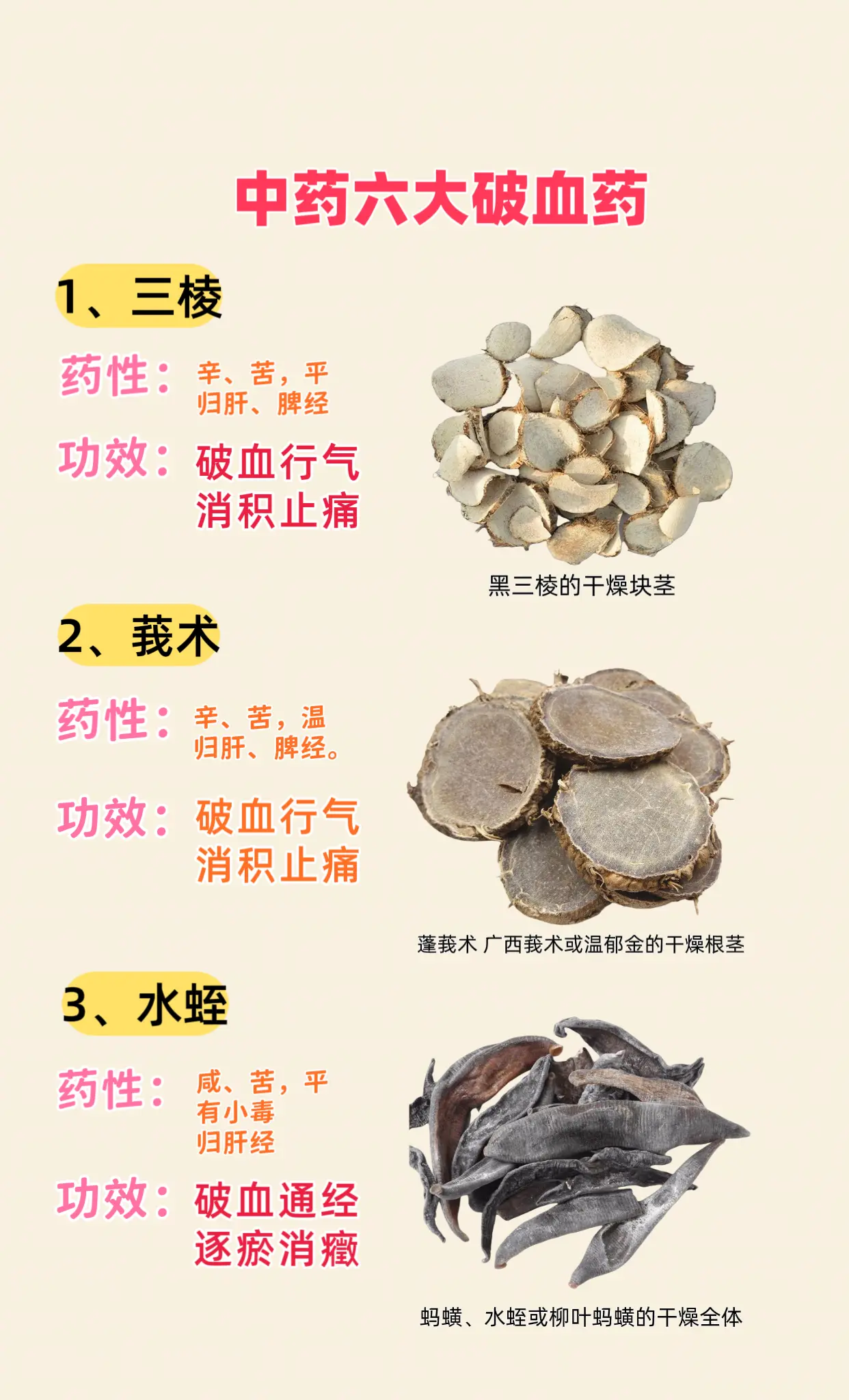 中药六大破血药。三棱 莪术 水蛭 土鳖虫 斑蝥 虻虫