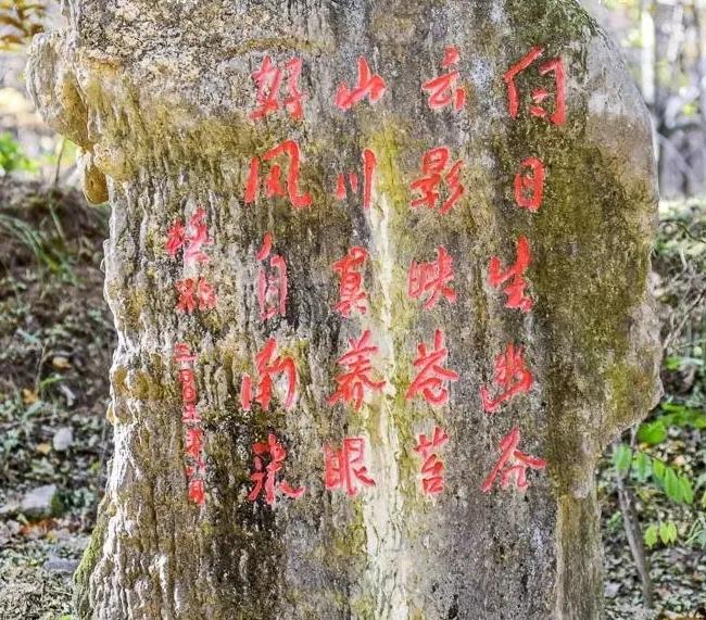 【格非与白云山】
    格非走进与辉同行 直播间聊新书《云朵的道路》，不愧是鲁