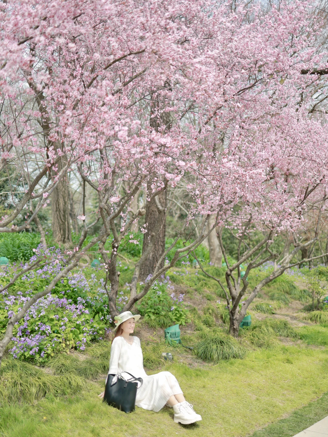 🌸瘦西湖的春天给我拍了照