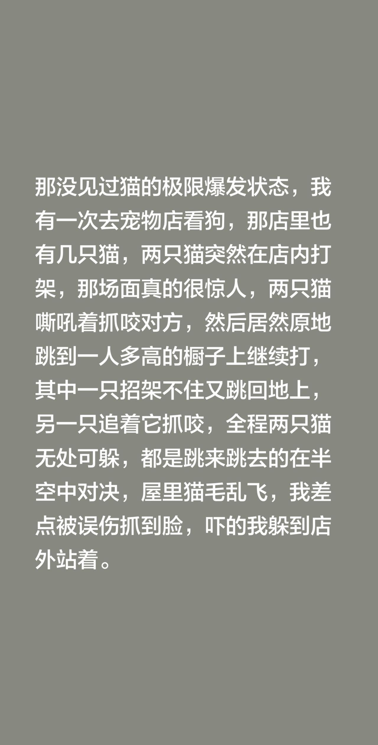 我回复了@金哥 的评论：
是那没见过猫的极限爆发状态，我有一次去宠物店看狗，那店