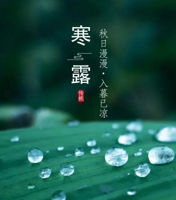 七律   寒露值班   新韵
玉露初凝菊正芳，金风摇曳桂依阳。
寒蝉凄切诉离苦，