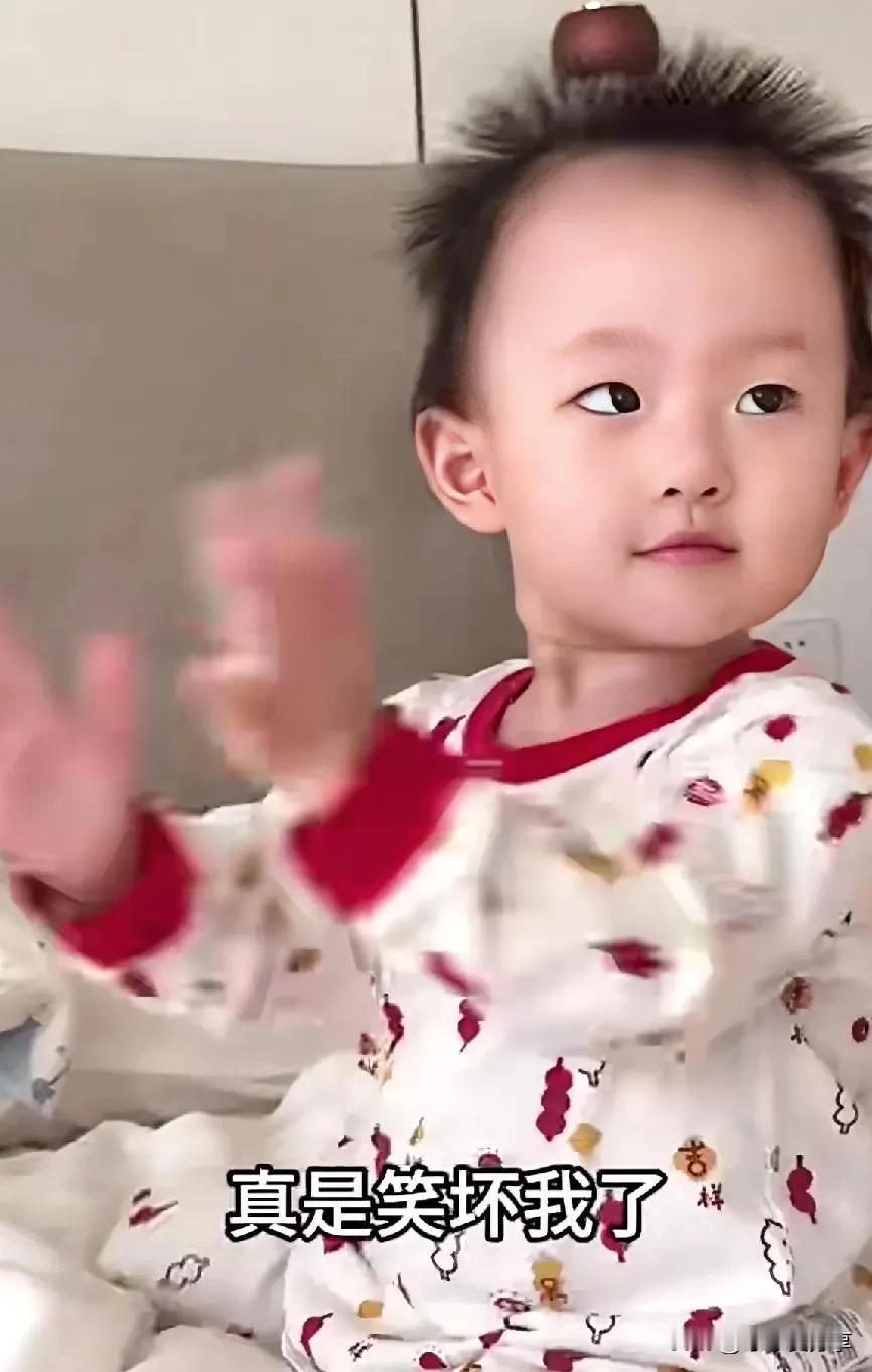 #理想家生活#哈哈 大家来看闪闪跳舞吧 真的没人教过她 一个一个律动都卡上了 把