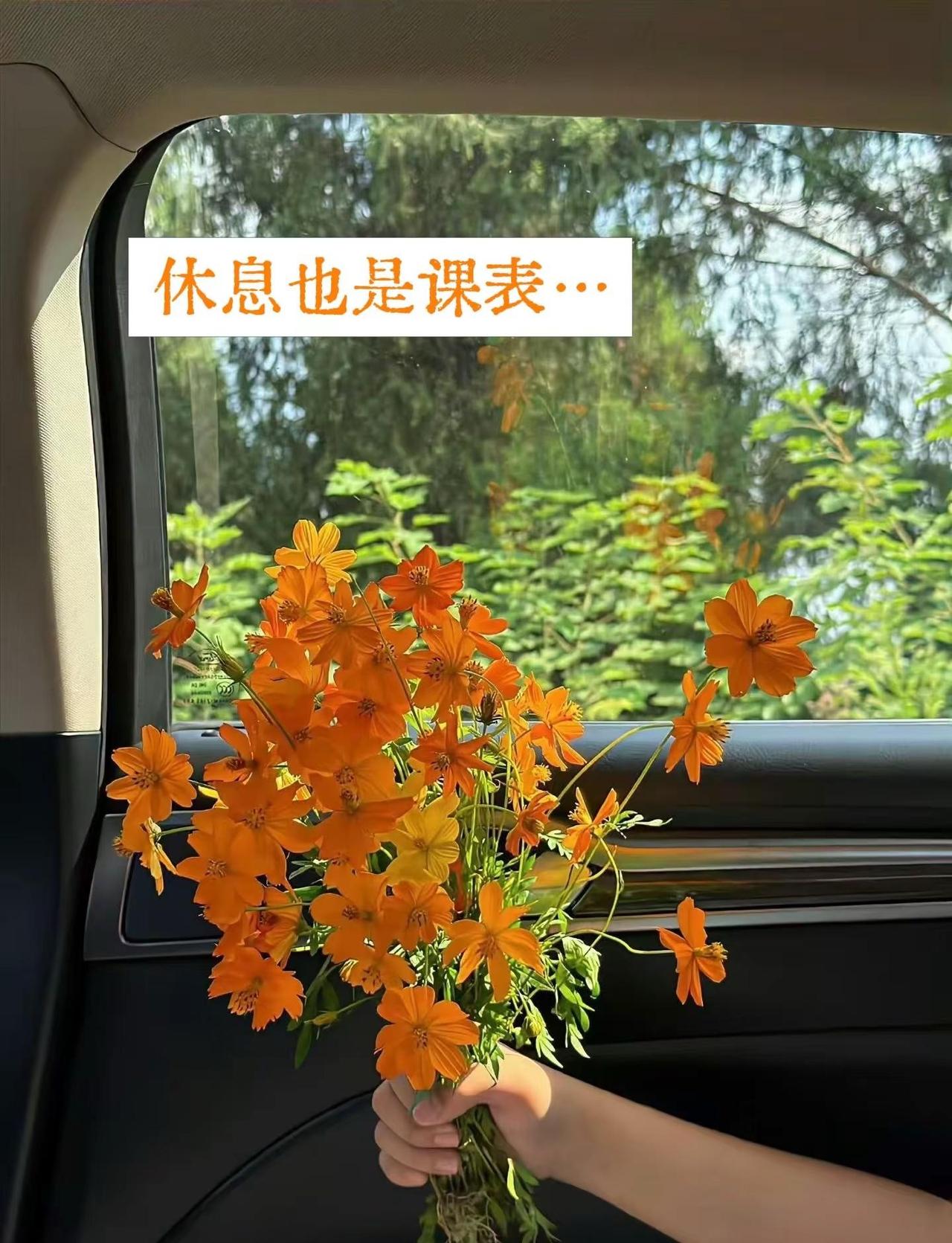 秋高气爽，今天是跑步的好日子呀！秋天 国庆假期被安排明白了 跑休也属于自律，休息