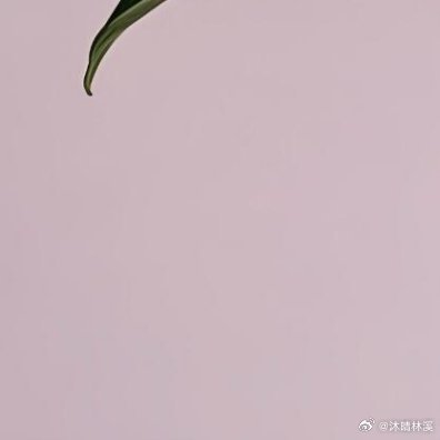 -开始减肥的时候就理解男人了山盟海誓是真心的做不到也是真的- 