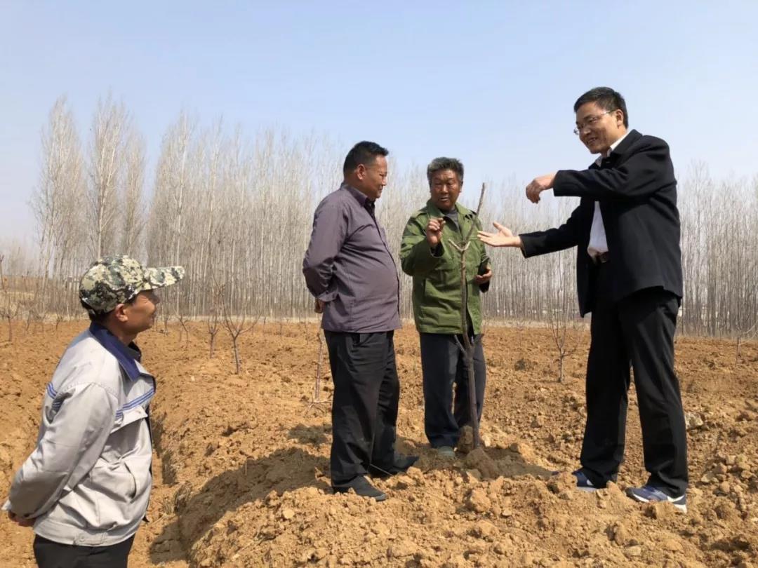 跟一个业务大局的科长出发，聊起全县各局领导来，科长说他陪了八任局长了，这个局长比