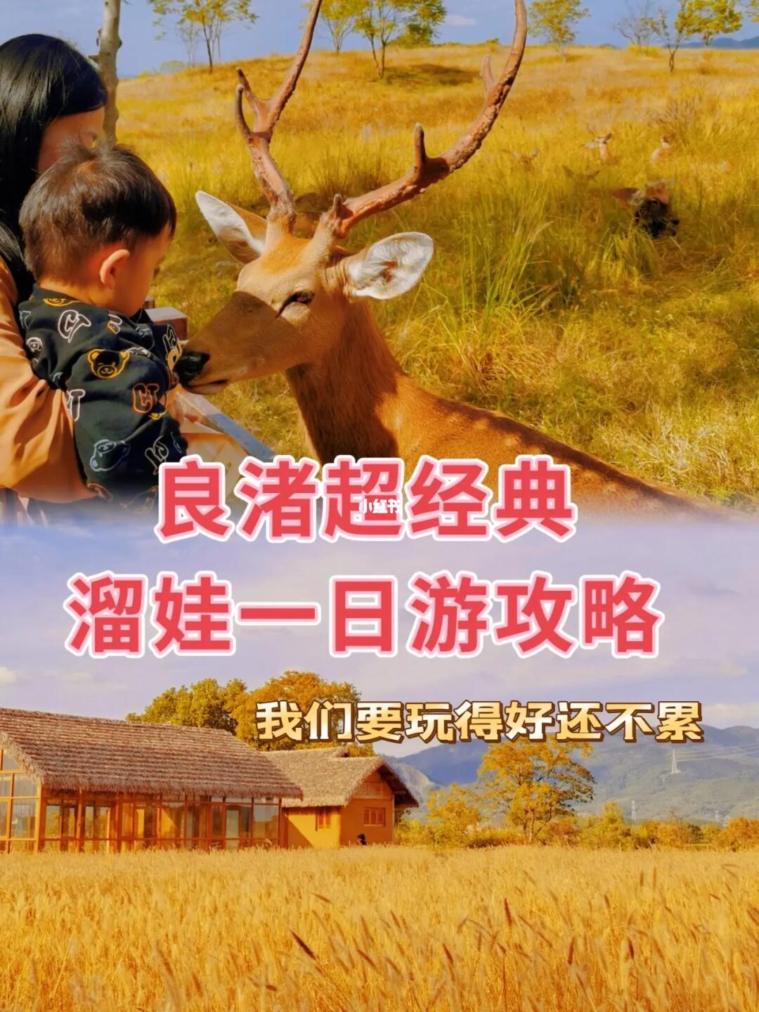 秋日溜娃/在良渚，我们闯入宫崎骏童话世界