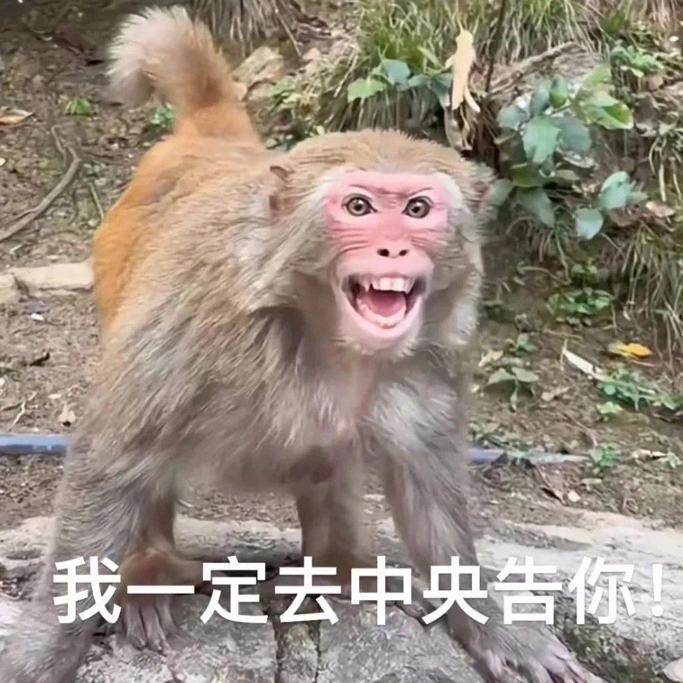 使用率很高的表情包 ​​​