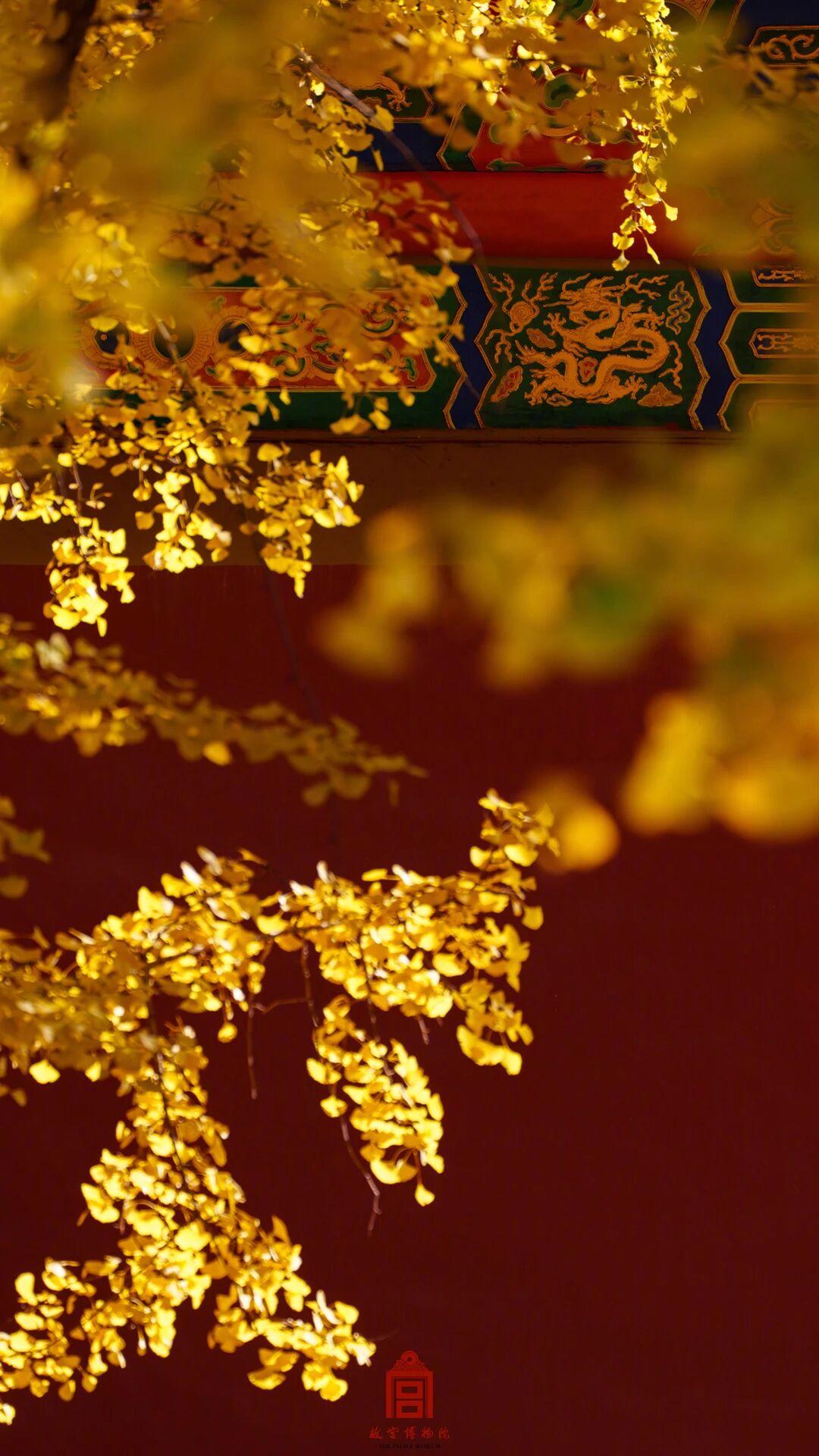 -exKsp6F2kODA


经常开窗通风和不爱开窗，时间长了会有哪些差别？