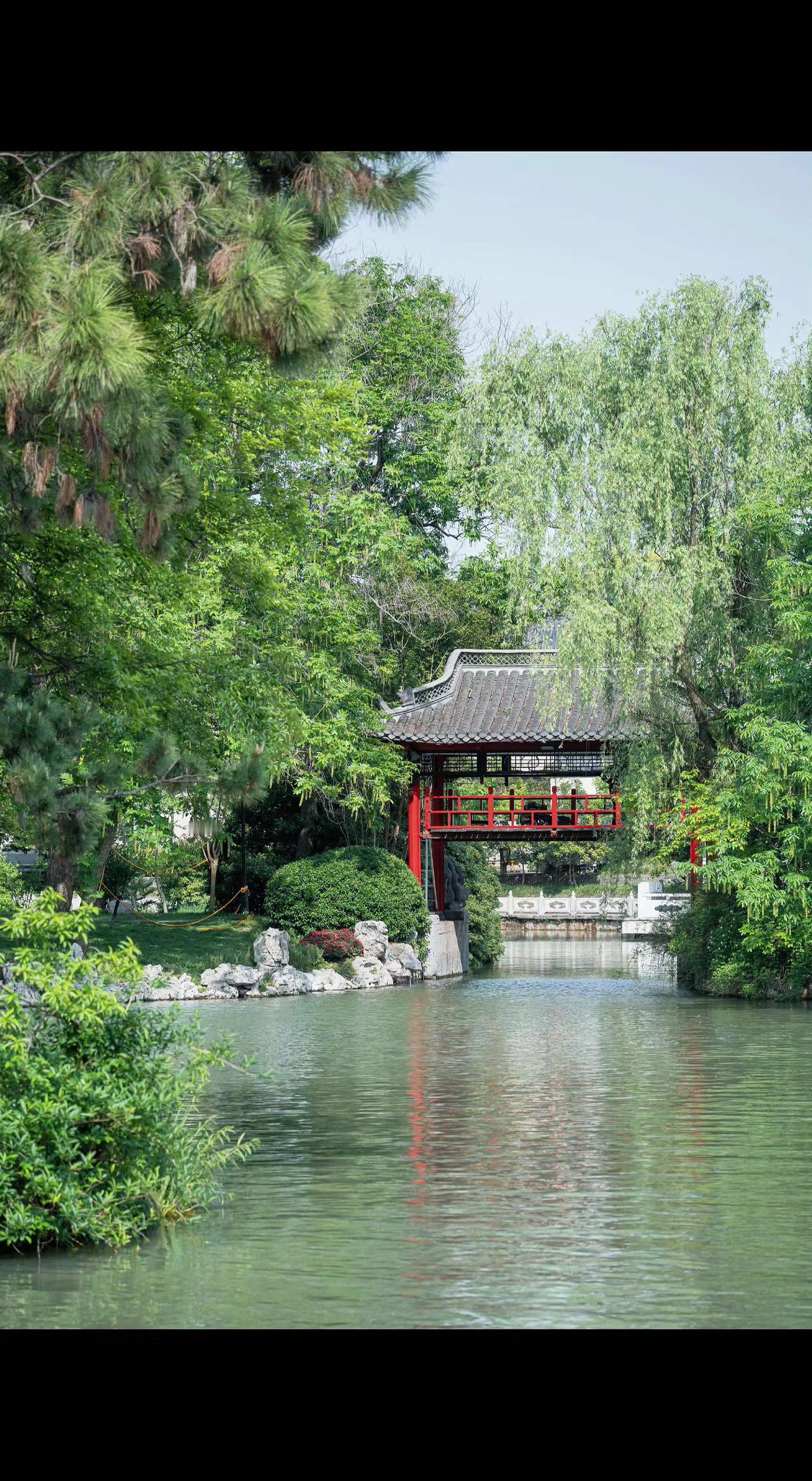 🍃红桥卧波，柳丝垂帘～水影里藏着江南的慢时光⏳