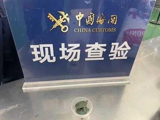 首都机场海关“神犬”立功，进境快件查出外来红耳彩龟！就在近日，机场海关工作犬机警