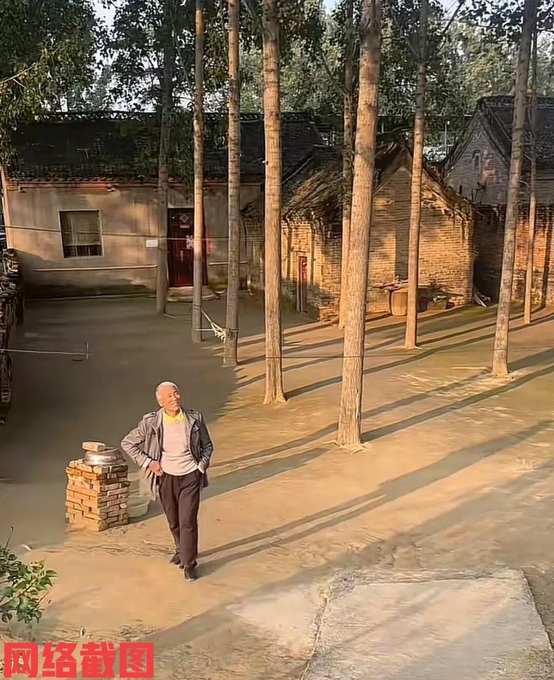 河南有大爷的院子因干净成众人关注。

这里干净是大爷生活的日常，因为持久的生活所