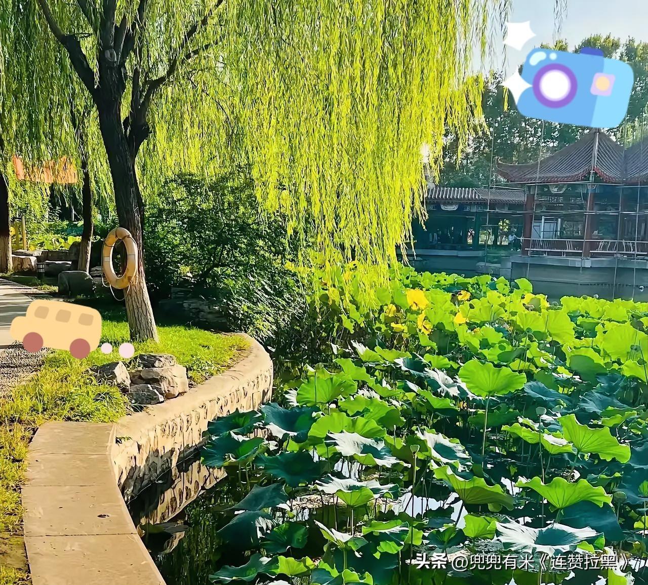 一个家庭旺不旺，是否向上走，关键看以下几点：

别再瞎琢磨家里为啥没起色了！
 