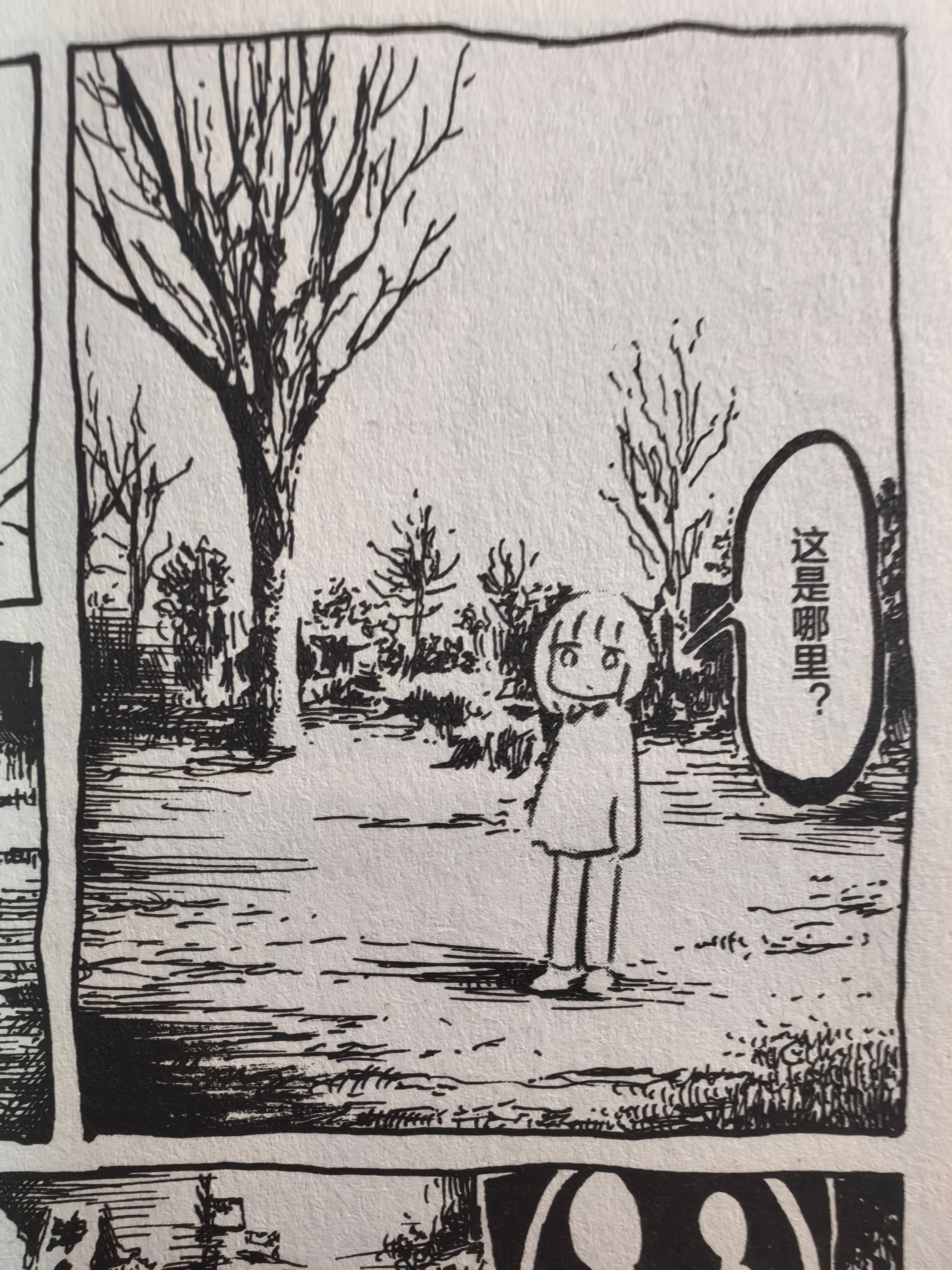 第43本：《枕鱼》panpanya今年还看了同作者的另一本书《螃蟹的邀请》，和前