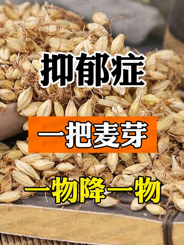 抑郁症，一把麦芽，一物降一物
