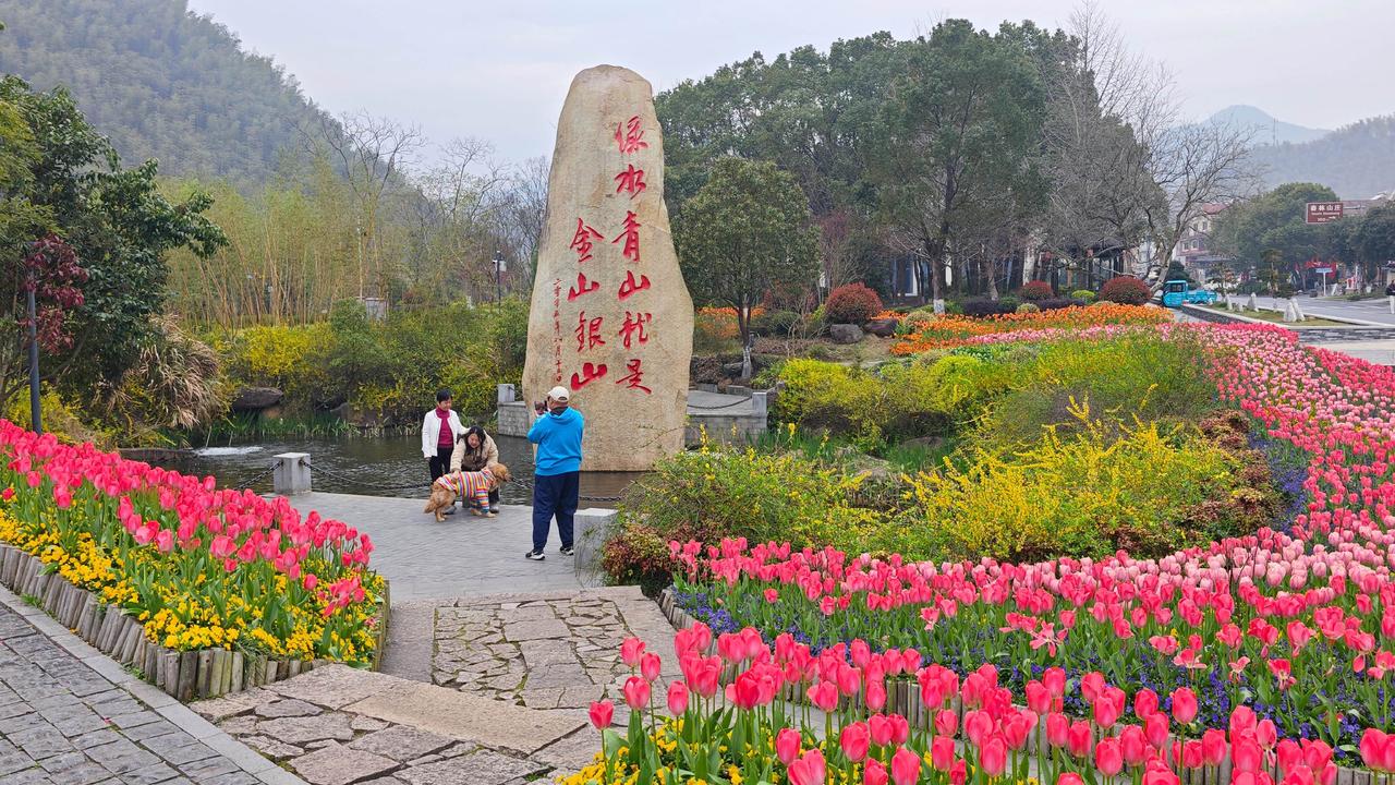 来安吉余村，别只盯着“两山”石碑，往村深处走，有片花的海洋，藏着这座村最温柔的新