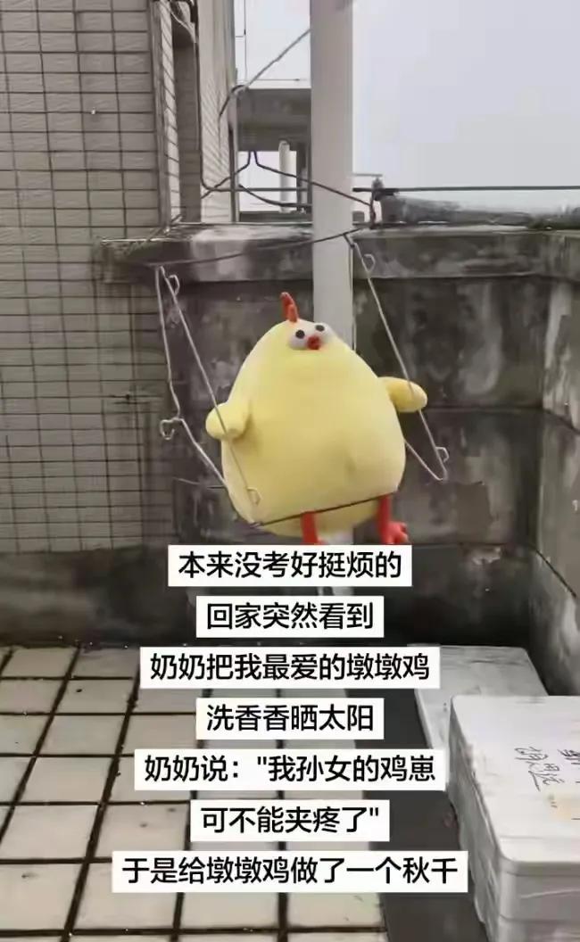 哈哈哈哈，秋千鸡可还行[狗头]