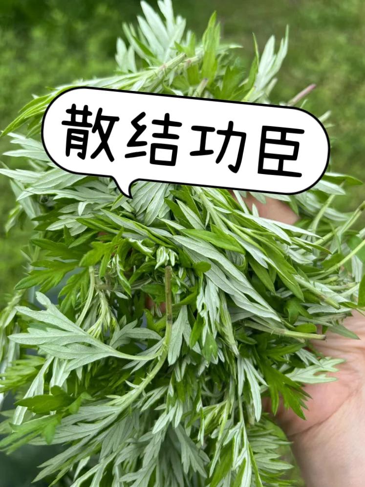 乳腺结节，是因为你不够爱自己，坚持打卡3件事，在家散结

当出现甲状腺结节、乳腺