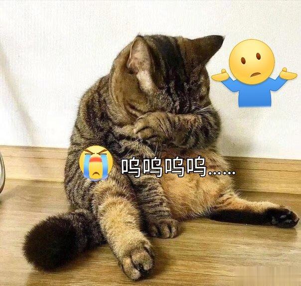 #这是我的心里话# 这个世界很现实的，必须学会客观看问题，凡事都没有绝对。你以为