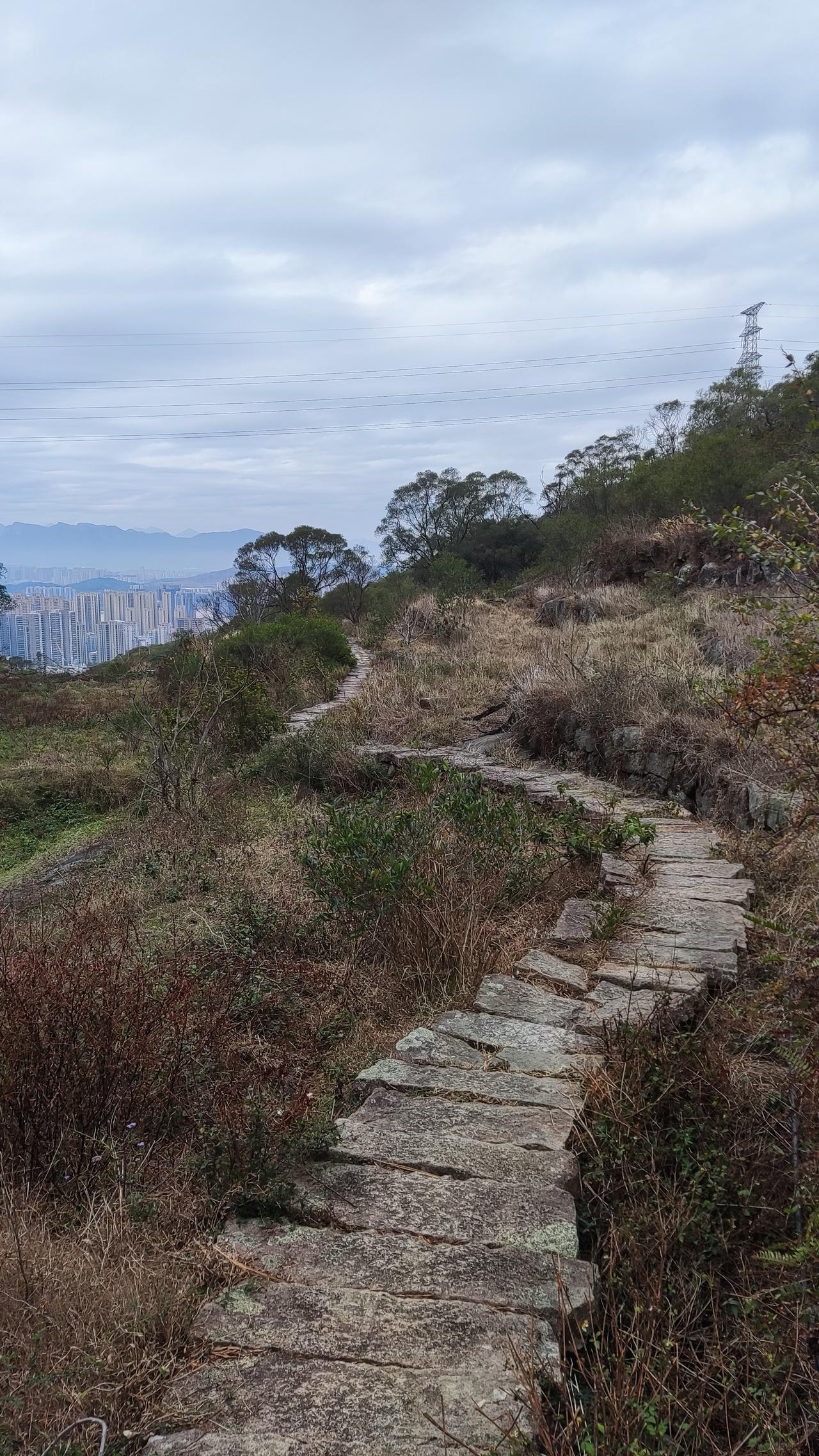 金价单日暴跌超4%，背后隐藏了哪些风险？

近期，黄金市场迎来了一次“惊天逆转”