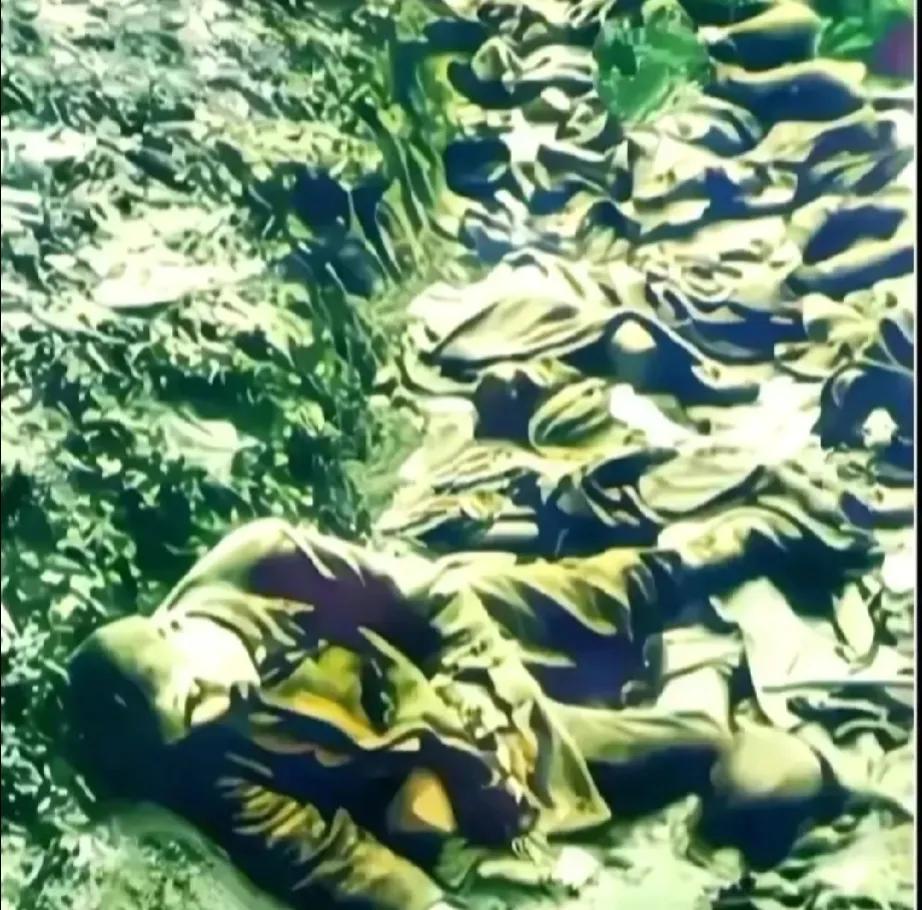 一张让人泪目的照片！
1985年5月31日凌晨5时10分，越军突然对我那拉地区的